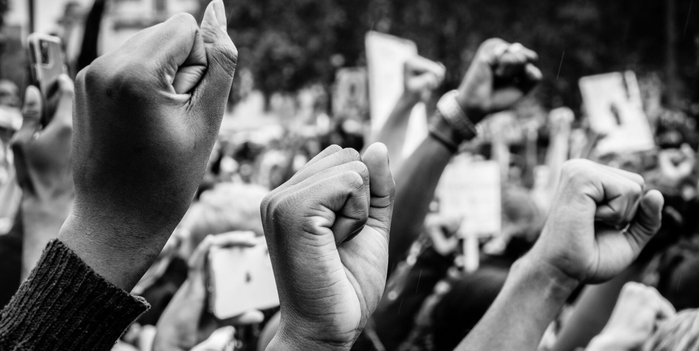 Democratic Principles Lead to Peace 